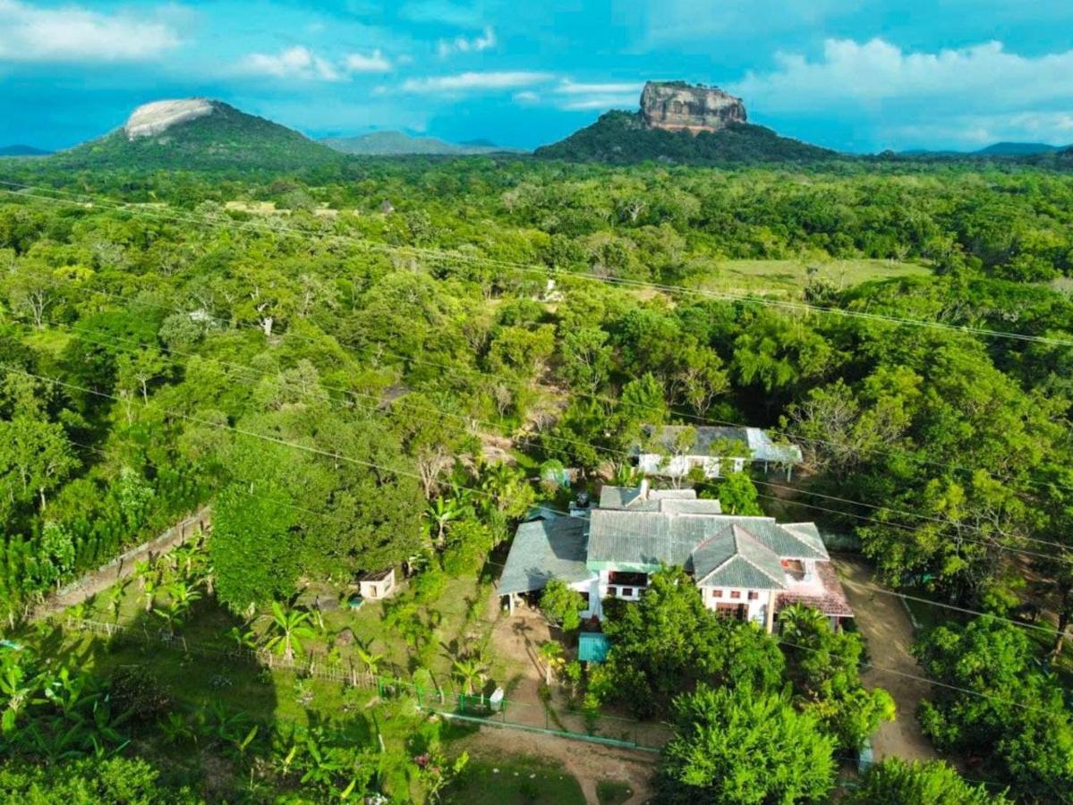 Sinhagiri Villa Sigiriya Esterno foto