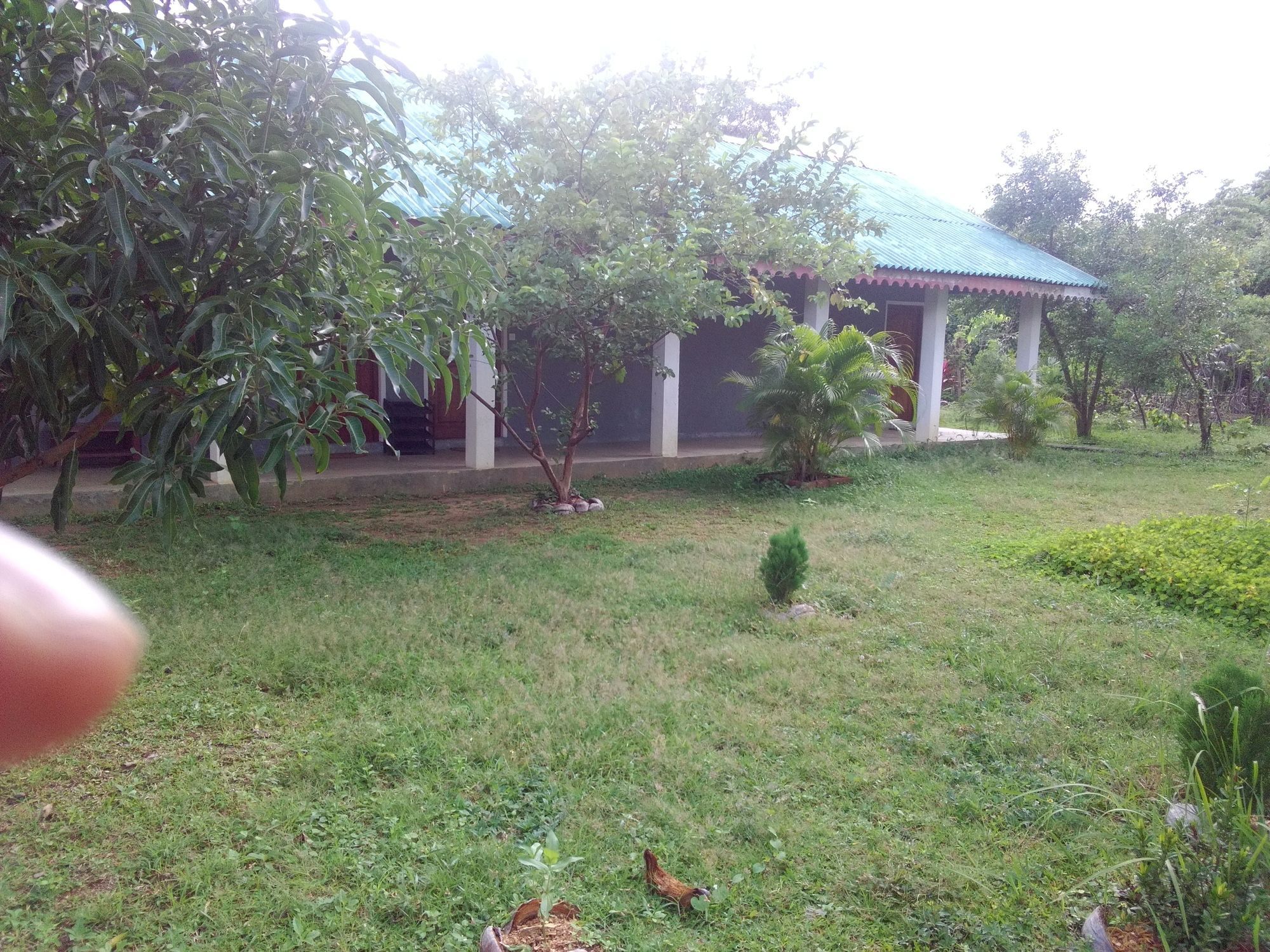 Sinhagiri Villa Sigiriya Esterno foto