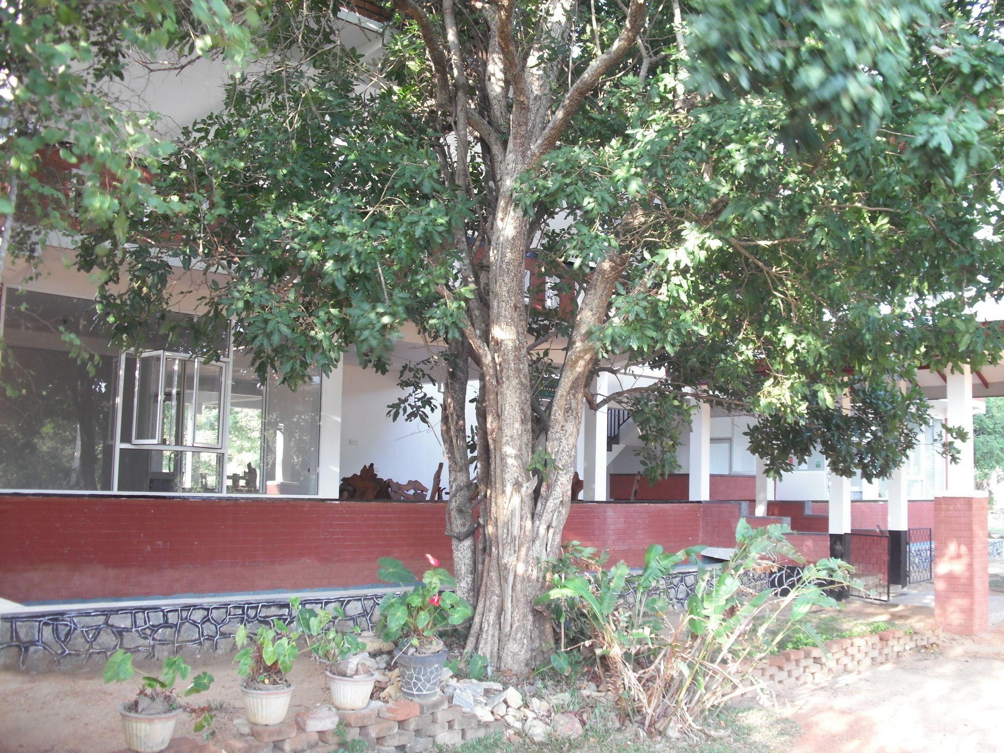 Sinhagiri Villa Sigiriya Esterno foto