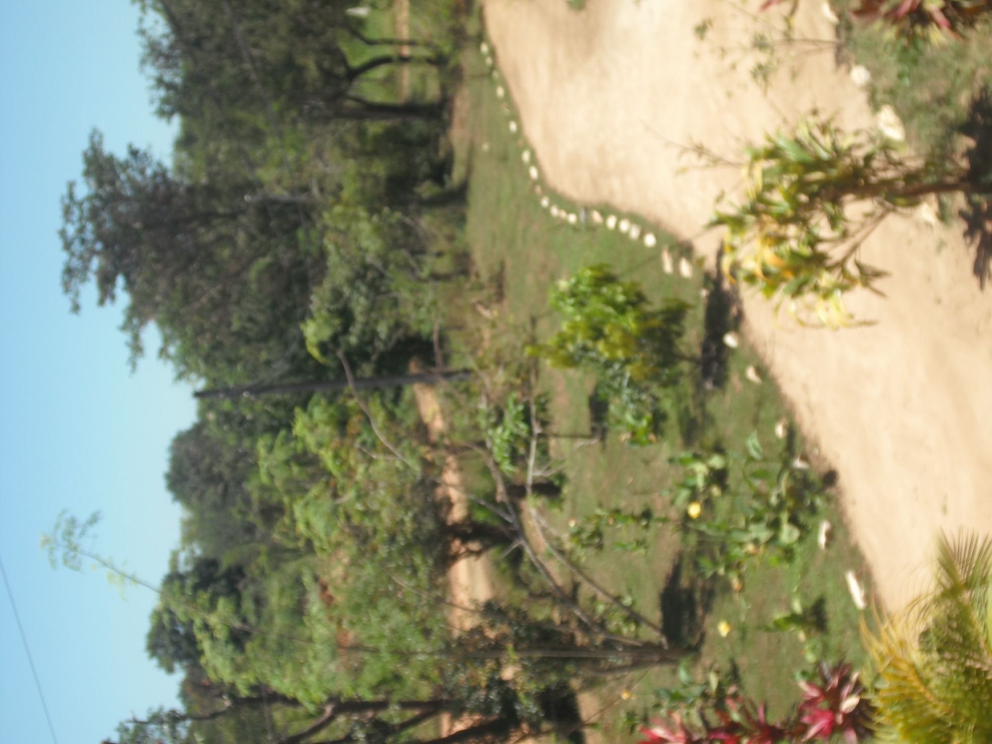 Sinhagiri Villa Sigiriya Esterno foto